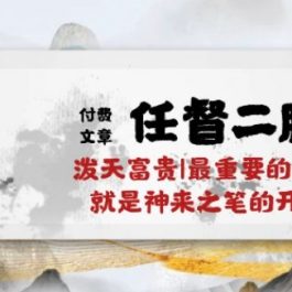 某付费文章《任督 二脉 泼天富贵|最重要的基石 就是神来之笔的开窍|万字》