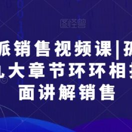 实战派销售视频课|孤独九剑，九大章节环环相扣，全面讲解销售