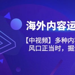 海外内容运营课【中视频】多种内容运营玩法 风口正当时 掘金好时机（101节）