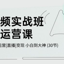 短视频实战班超级运营课 |剪辑|拍摄|运营|直播|变现 小白到大神 (30节)