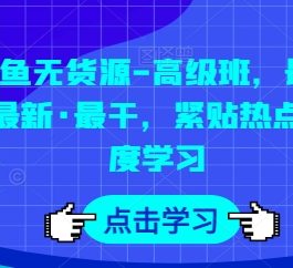 闲鱼无货源-高级班，最全·最新·最干，紧贴热点 深度学习