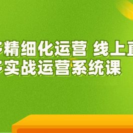 拼多多精细化运营 线上直播课：拼多多实战运营系统课（更新47节）