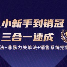 从小新手到销冠三合一速成：销售3法+非暴力关单法+销售系统挖需课 (27节)