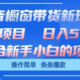 抖音橱窗带货新玩法，单日收益几张，操作简单，条条爆款