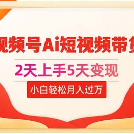 （10807期）2天上手5天变现视频号Ai短视频带货0粉丝0基础小白轻松月入过万