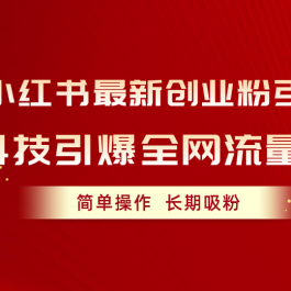 （10789期）小红书最新创业粉引流，黑科技引爆全网流量裂变，简单操作长期吸粉