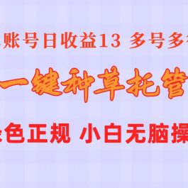 （10776期）一键种草托管 单账号日收益13元  10个账号一天130  绿色稳定 可无限推广