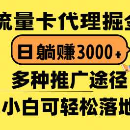 （10771期）流量卡代理掘金，日躺赚3000+，首码平台变现更暴力，多种推广途径，新…