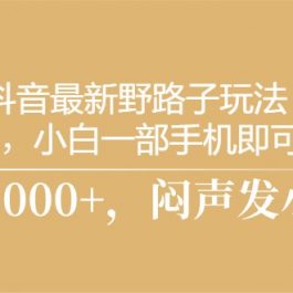 （10766期）抖音最新野路子玩法，一单35，小白一部手机即可操作，，日入3000+，闷…