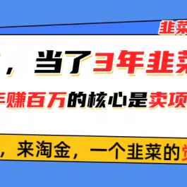 （10759期）悟了，当了3年韭菜，才发现网赚圈年赚100万的核心是卖项目，含泪分享！