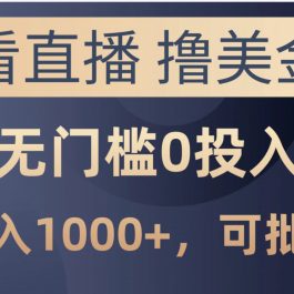 （10747期）最新看直播撸美金项目，无门槛0投入，单日可达1000+，可批量复制