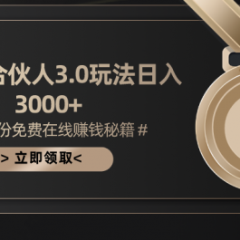 （10727期）游戏合伙人3.0，日入3000+，无限扩大的蓝海项目