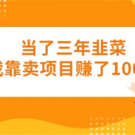 （10725期）当了三年韭菜我靠卖项目赚了100万