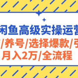 （10711期）2024闲鱼高级实操运营课程：开店/养号/选择爆款/引流/月入2万/全流程