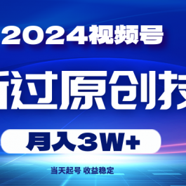 （10704期）2024视频号最新过原创技术，当天起号，收益稳定，月入3W+