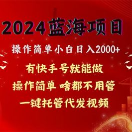 （10693期）2024蓝海项目，网盘拉新，操作简单小白日入2000+，一键托管代发视频，…