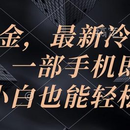 （10689期）游戏掘金，最新冷门暴力玩法，一部手机即可操作，小白也能轻松上手