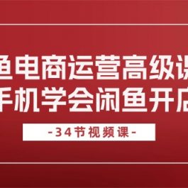 （10686期）闲鱼电商运营高级课程，一部手机学会闲鱼开店赚钱（34节课）