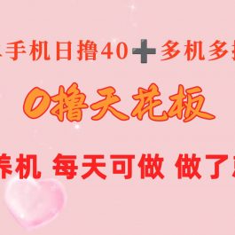 （10670期）0撸天花板 单手机日收益40+ 2台80+ 单人可操作10台 做了就有 长期稳定