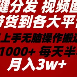 （10667期）2024年 一键分发带货图文视频  简单易上手 无脑赚收益 每天半小时日入1…