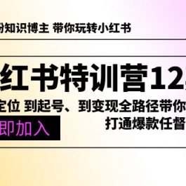 （10666期）小红书特训营12期：从定位 到起号、到变现全路径带你快速打通爆款任督二脉