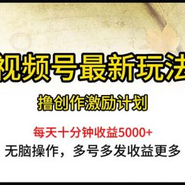 （10591期）视频号最新玩法，每日一小时月入5000+