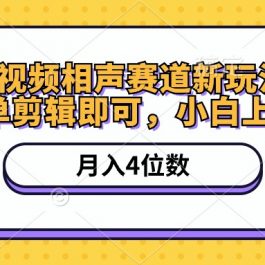 （10586期）短视频相声赛道新玩法，简单剪辑即可，月入四位数（附软件+素材）