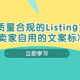 （10585期）打造高质量合规Listing文案SOP，亿级大卖家自用的文案标准化流程