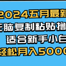 （10578期）2024五月最新AI撸收益玩法 无脑复制粘贴 新手小白也能操作 轻松月入5000+