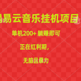 （10577期）网易云音乐挂机项目，单机200+，躺赚即可，正在红利期，无脑且暴力