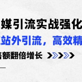 （10562期）3大社媒引流实操强化，多渠道站外引流/高效精准获客/订单销售额翻倍增长