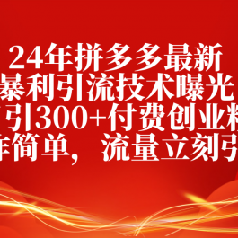 （10559期）24年拼多多最新暴利引流技术曝光，日引300+付费创业粉，操作简单，流量…