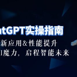 （10556期）ChatGPT-实操指南：创新应用及性能提升，解锁 AI魔力，启程智能未来-30节