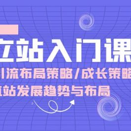 （10549期）独立站 入门课：多渠道 引流布局策略/成长策略/垂直站发展趋势与布局