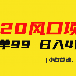 （10544期）520风口项目一单99 日入4位数(小白首选，闭眼做！)