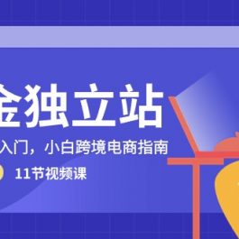 （10536期）掘金 独立站，0-1体系化入门，小白跨境电商指南（11节视频课）