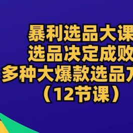 （10521期）暴利 选品大课：选品决定成败，教你多种大爆款选品方法（12节课）