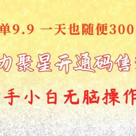 （10519期）快手磁力聚星码信息差 售卖  一单卖9.9  一天也轻松300+ 新手小白无脑操作