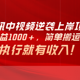 （10518期）腾讯中视频项目，日均收益1000+，简单搬运无限做，执行就有收入