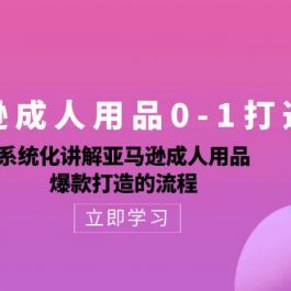 （10493期）亚马逊成人用品0-1打造爆款：系统化讲解亚马逊成人用品爆款打造的流程