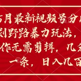 （10488期）5月最新视频号分成计划野路暴力玩法，ai制作，无需剪辑。几分钟一条，…