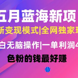 （10477期）五月蓝海项目全新玩法，小白无脑操作，一天几分钟，矩阵操作，月入4万+