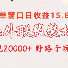 （10475期）海外联盟装机 单窗口日收益15.8  变现20000+ 野路子玩法