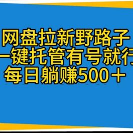 （10468期）网盘拉新野路子，一键托管有号就行，全自动代发视频，每日躺赚500＋