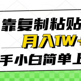 （10461期）仅靠复制粘贴，被动收益，轻松月入1w+，新手小白秒上手，互联网风口项目