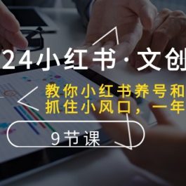 （10440期）2024小红书·文创：教你小红书养号和开店、抓住小风口 一年一百万 (9节课)