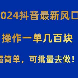 （10413期）2024抖音最新风口！操作一单几百块！超简单，可批量去做！！！