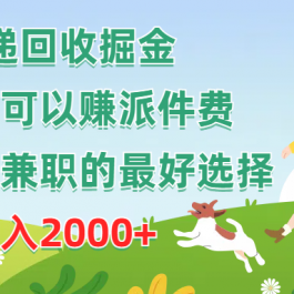 （10364期）快递回收掘金，人人都可以赚派件费，新人副业兼职的最好选择，日入2000+