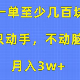 （10356期）一单至少几百块，只动手不动脑，月入3w+。看完就能上手，保姆级教程