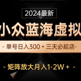 （10336期）最新闲鱼小众蓝海虚拟资源，单号日入300＋，三天必起店，矩阵放大月入1-2W